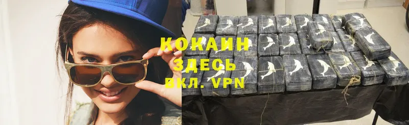 Cocaine FishScale  где купить наркоту  блэк спрут ссылка  Коркино 